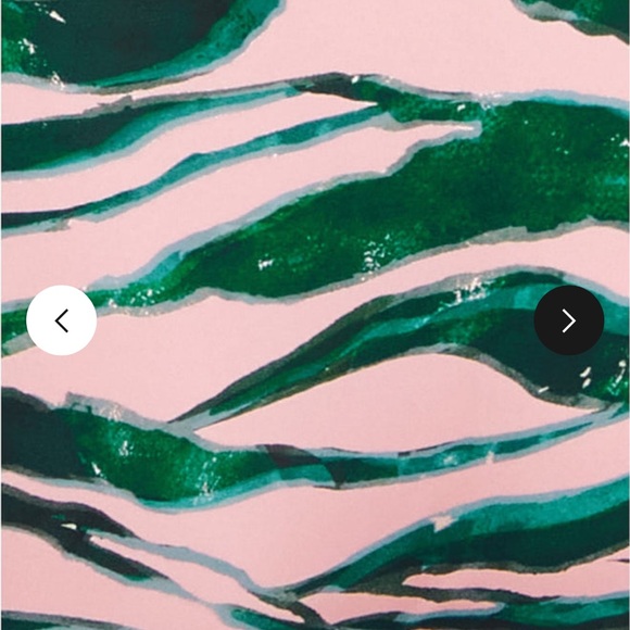 Birdsong Animal Instinct Retro Bikini Bottom - Picture 4 of 6